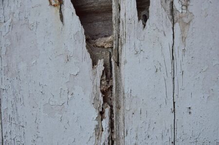 broken white wooden door