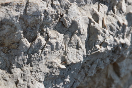 rock texture and background in garden