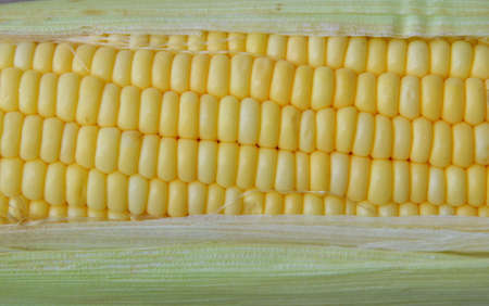 corn on wooden board