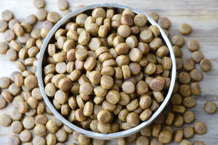 dog food in circle stainless bowl