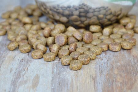 dog food on wooden board and stainless bowl