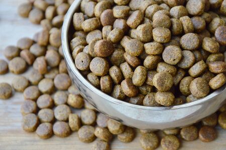 pet food in circle stainless bowl