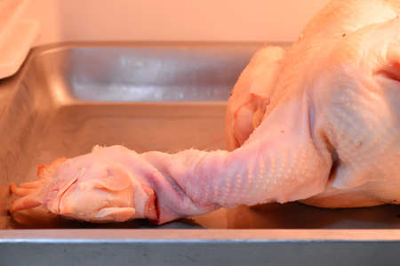 chicken on stainless tray in refrigeratorの写真素材