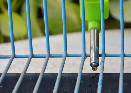 pet automatic drinker mobile in wire cageの写真素材