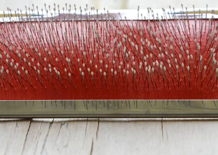 slicker brush for dog and cat on wooden board