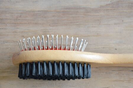 two way brush for dog and cat on wooden boardの写真素材