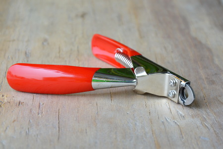 nail cutter for dog and cat on wooden boardの写真素材