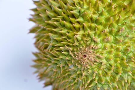 close up of durian thorn texture and background