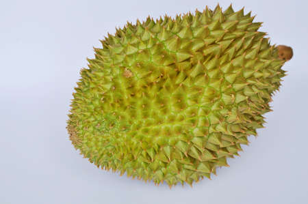 durian tropical summer fruit on white background