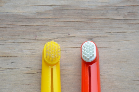 toothbrush used by wear in finger for dog and cat on tableの写真素材