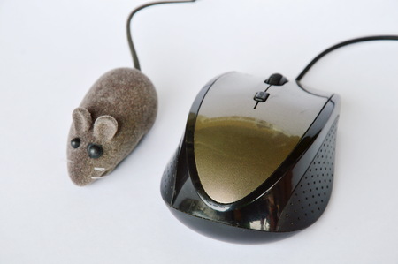rat toy and computer mouse on white backgroundの写真素材