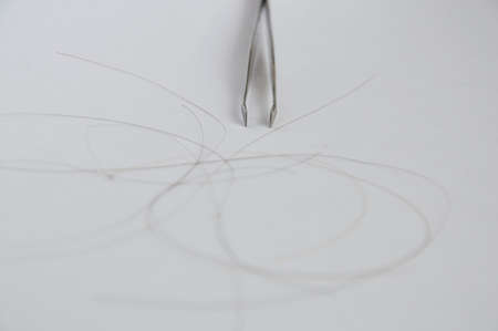 silver tweezers and hair on white backgroundの写真素材