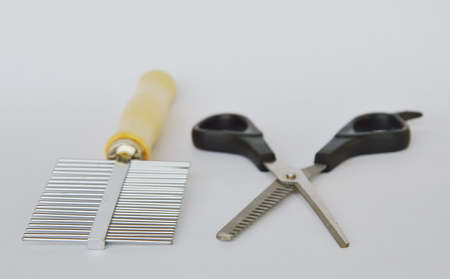 clippers dog grooming  and comb on white backgroundの写真素材