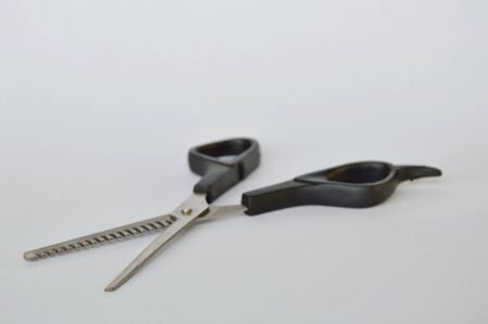 clippers dog grooming with saw tooth on white background