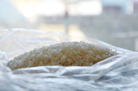 Thai jasmine rice paddy in plastic bagの写真素材