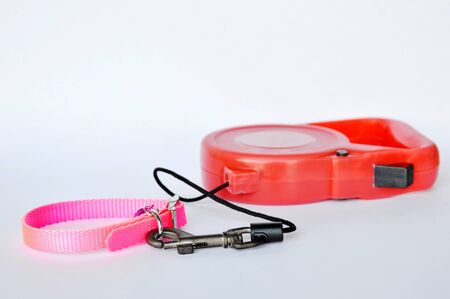 red automatic leash and pink nylon dog collar on white backgroundの写真素材