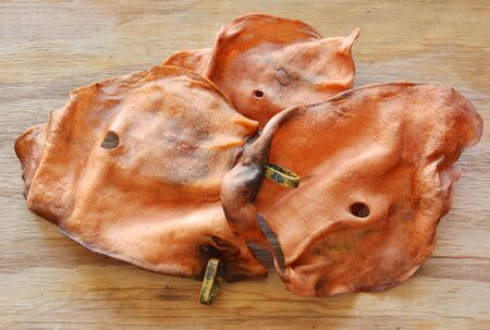 dog snack dried ear cow with loop on wooden board