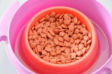 cat food in red pet bowl on water tray for protected ant or insect feedingの写真素材