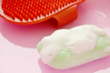 red rubber dog bath brush and pet soap with bubble on pink plastic basinの写真素材