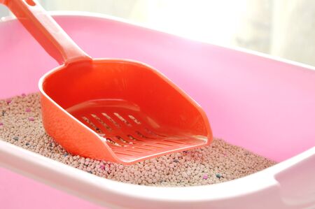 red plastic shovel on cat litter in pink basinの写真素材