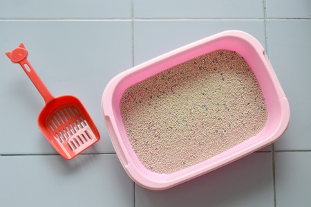 red plastic shovel on cat litter in pink basinの写真素材