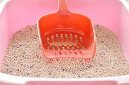 cat litter in pink basin and red plastic shovelの写真素材