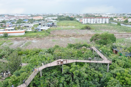 à¸ºBangkok Thailand July 28, 2017 : top view of project PTT green in the city  by PTT PUBLIC COMPANY LIMITED to growth forest for Thai people spending relaxing time and learning valuable of nature in townのeditorial素材
