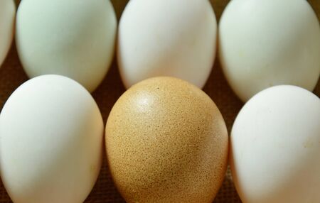brown and white egg arranging on sackclothの写真素材