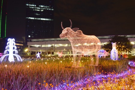Bangkok Thailand December 16, 2017 :  cow LED light show ones of Chinese zodiac in Thailand illumination festival 2017 on nightのeditorial素材