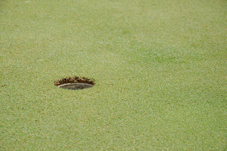 hole on green golf court field in sunny dayの写真素材