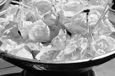 sandalwood flower for mourning dead in Thai funeral on pan with back and white toneの写真素材