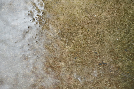 hard rain drop and splashing on cement ground in parkの写真素材