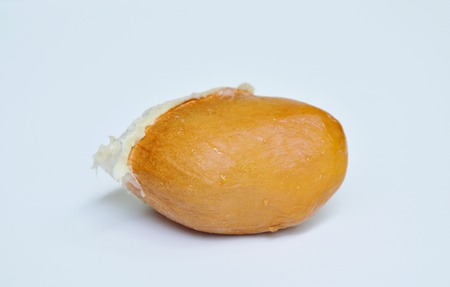 durian seed on white backgroundの写真素材
