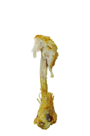fried chicken leg bone on white backgroundの写真素材
