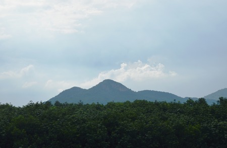landscape of mountain behind tree line in sunny dayの写真素材