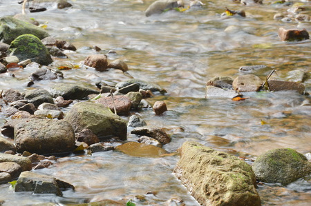 water run through river pass rock and stone in forset