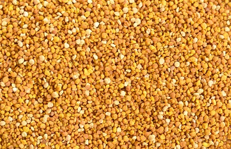 bee pollen organic food background and texture