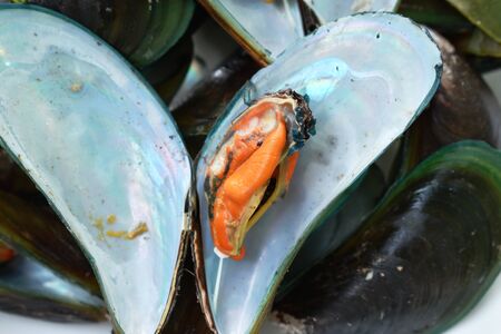 close up of steamed mussel open shell on plateの写真素材