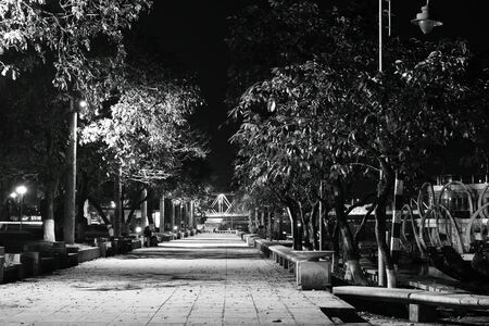 landscape of park in Vietnam in nightの写真素材