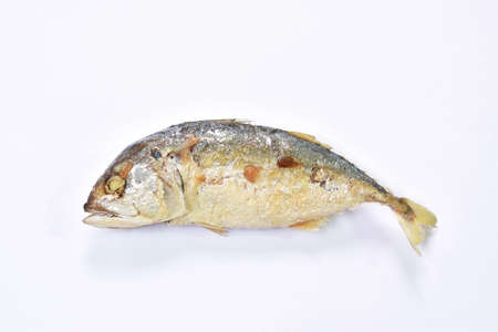 deep fried mackerel fish on white backgroundの写真素材