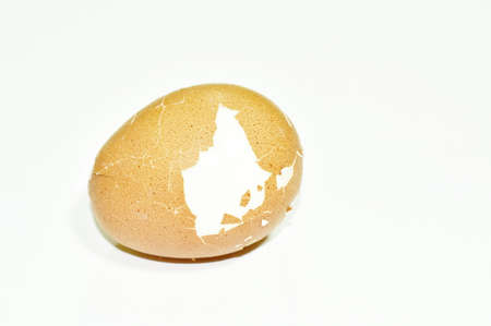 boiled egg cracked shell out on white background