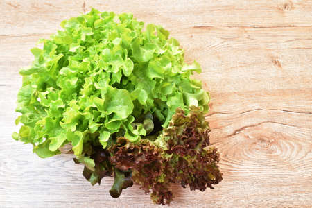 fresh red and green oak vegetable salad with drop of water arranging on plate