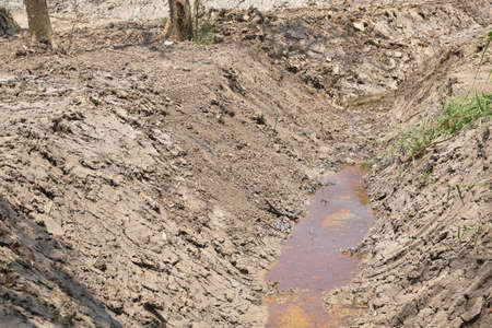 dry land on paddy filled and pool with less water in summerの写真素材