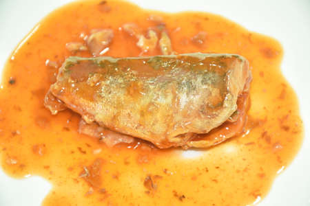 fish can with tomato sauce on plate in white background