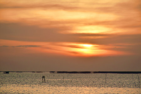 landscape of sea in sunset in Thailandの写真素材