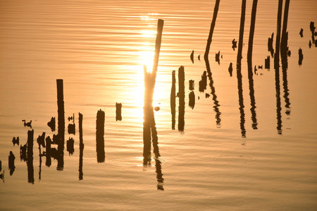 landscape of sea in sunset in Thailandの写真素材