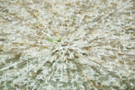 blurry zoom technic of orange jasmine petal fall and spreading on cement floorの写真素材