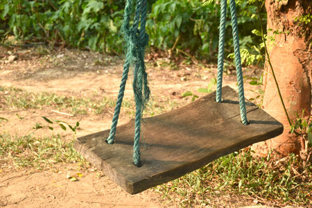 wooden swing hanging by robe from tree branch in eveningの写真素材