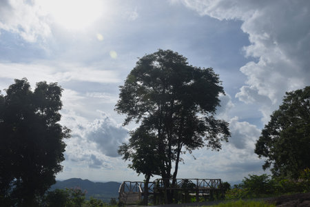 landscape of tree on mountain at Chet kod in Thailandの写真素材