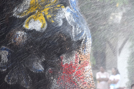 close up of elephant face with water falling texture and backgroundの写真素材